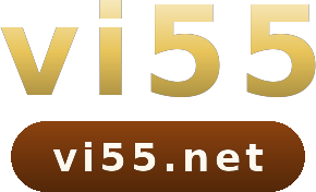 vi55 logo